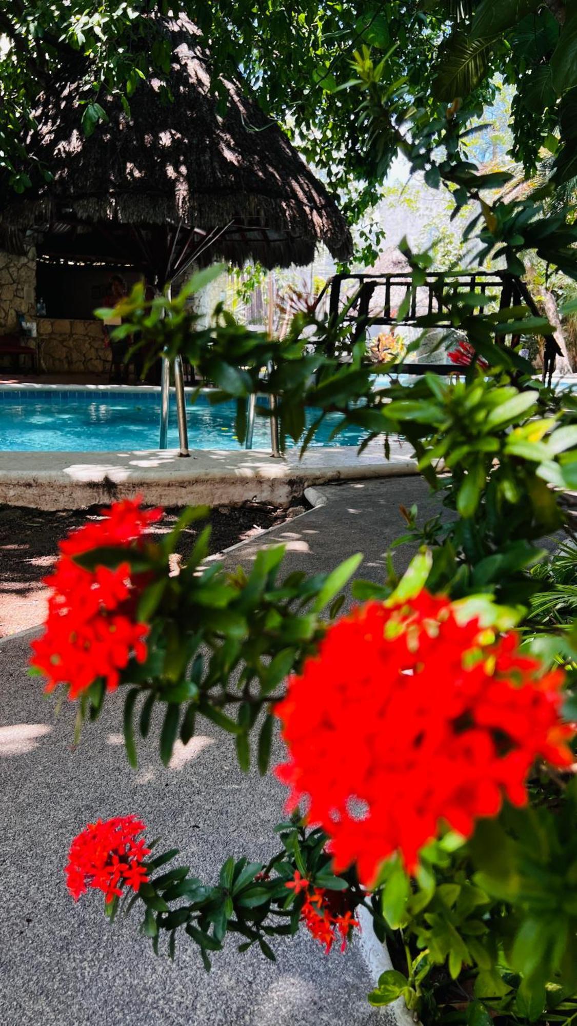 Mayan Art Hotel 10 Avenue Playa del Carmen Extérieur photo